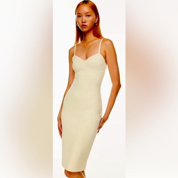 Aritzia Dresses & Skirts - BABATON Sz M by Aritzia Lariat Bodycon Bustier in the Colour Birch Dress NEW